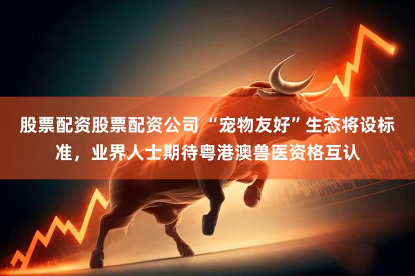 股票配资股票配资公司 “宠物友好”生态将设标准，业界人士期待粤港澳兽医资格互认