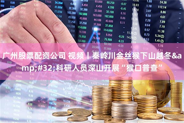 广州股票配资公司 视频丨秦岭川金丝猴下山越冬 科研人员深山开展“猴口普查”
